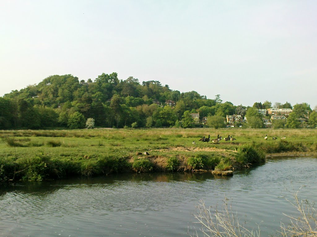 Looking north over the River Wey and Frith Hill, Godalming