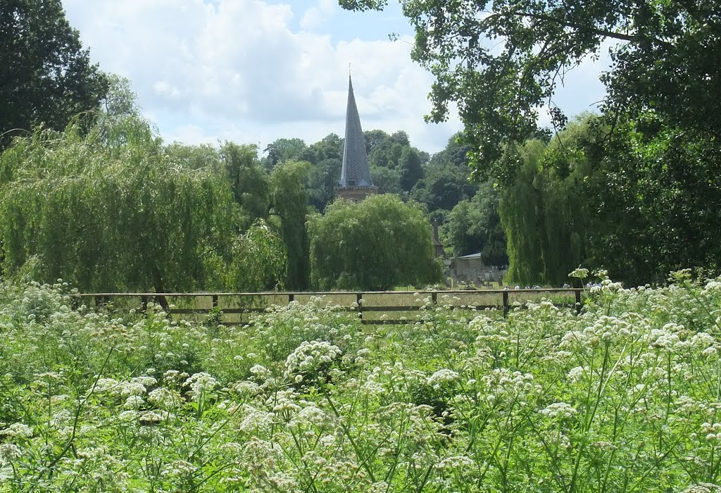 Buryfield Park and Parish Church of Saint Peter & Saint Paul, Godalming