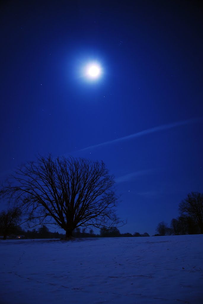 Moonscape, Busbridge