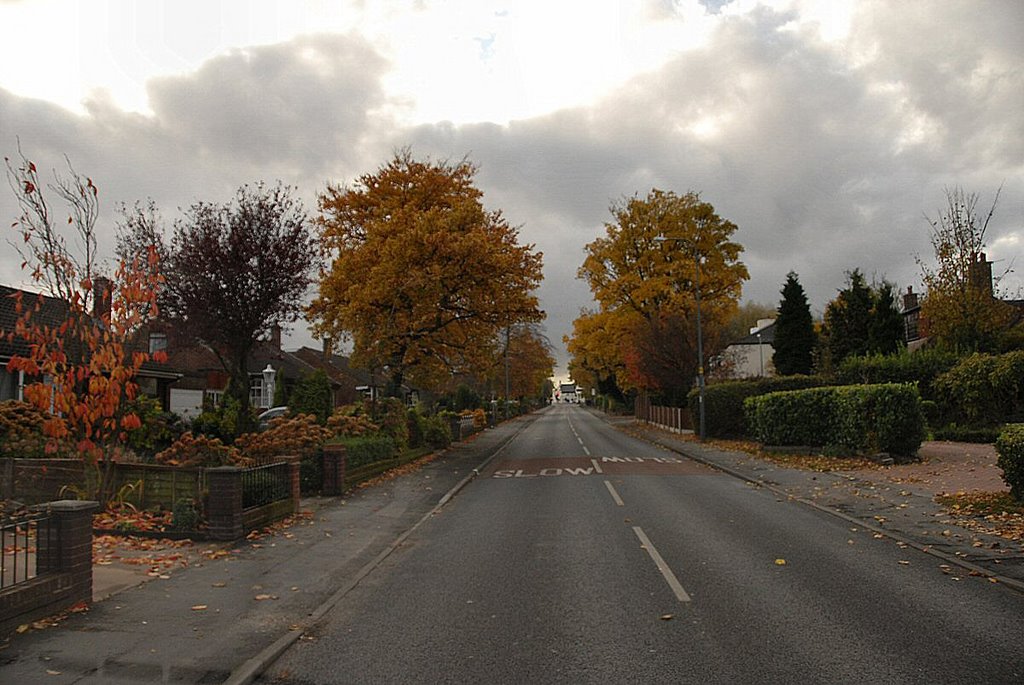 Slag Lane