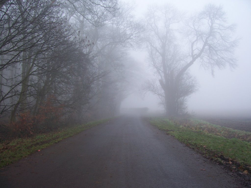 Sandy Lane in the fog