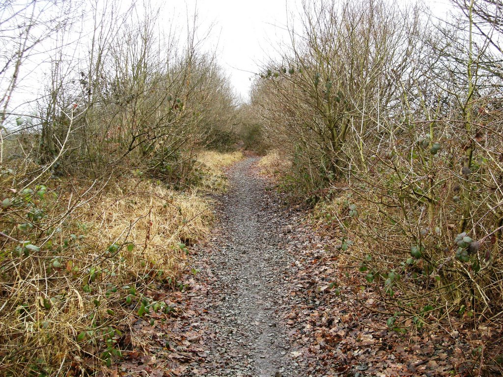 Haydock Railway Line today.