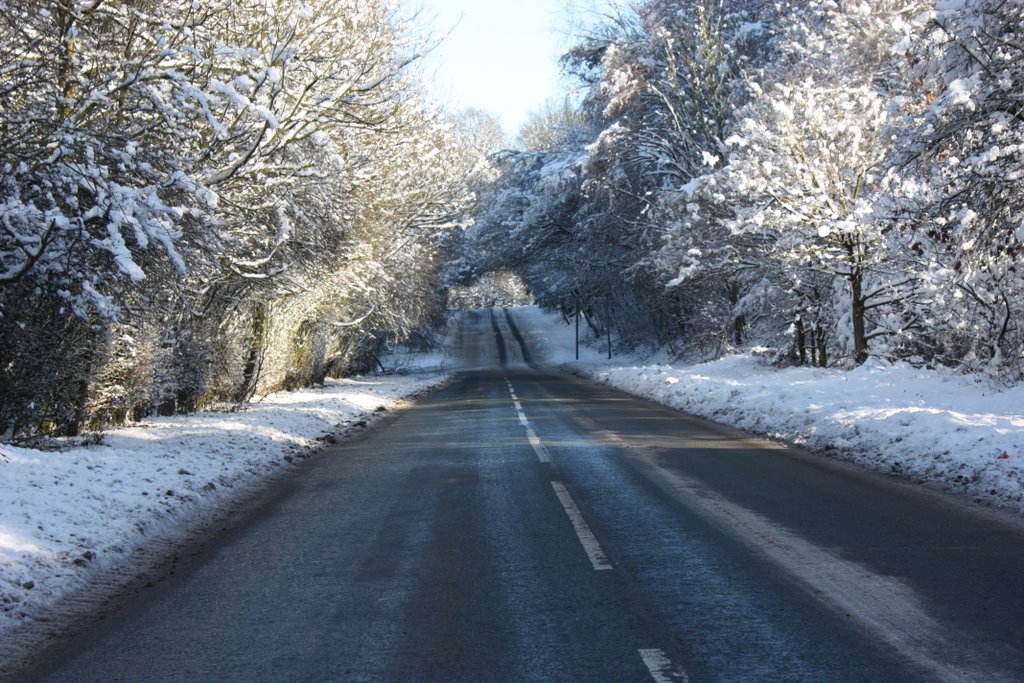 Rob Lane Snow