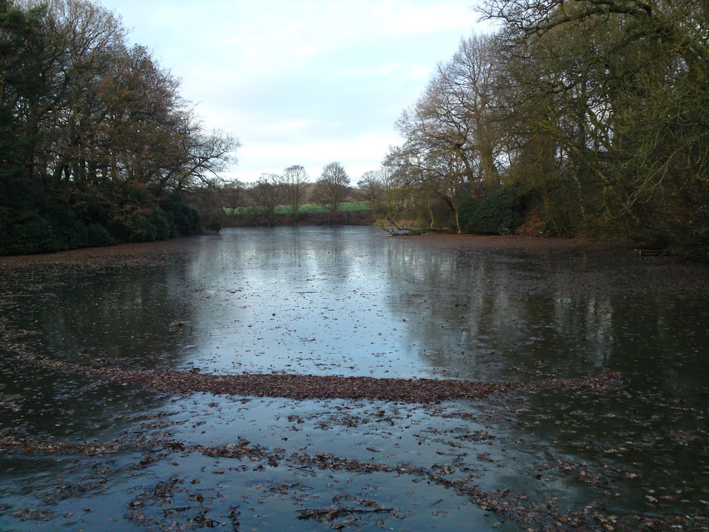 DEAN DAM NEWTON