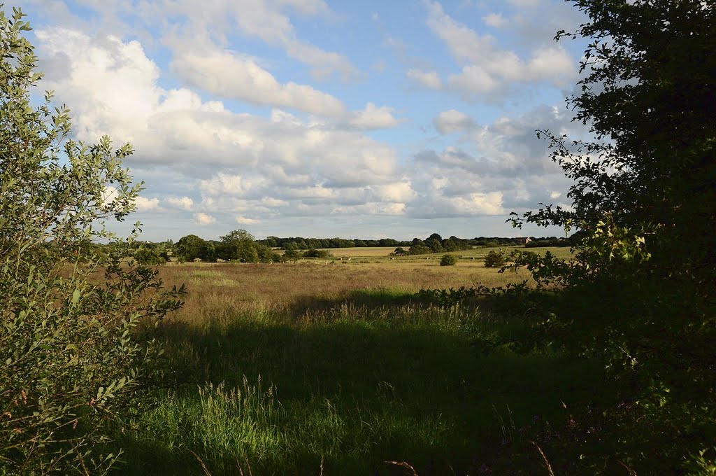 Lightshaw Meadows