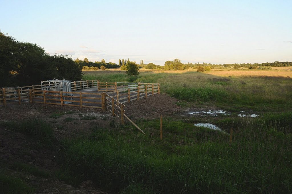 Cattle holding pen.