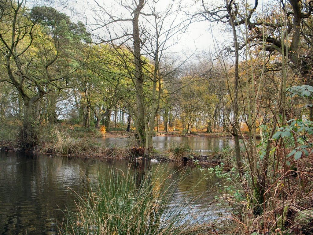 Oak Pool, Whitedoor Dam
