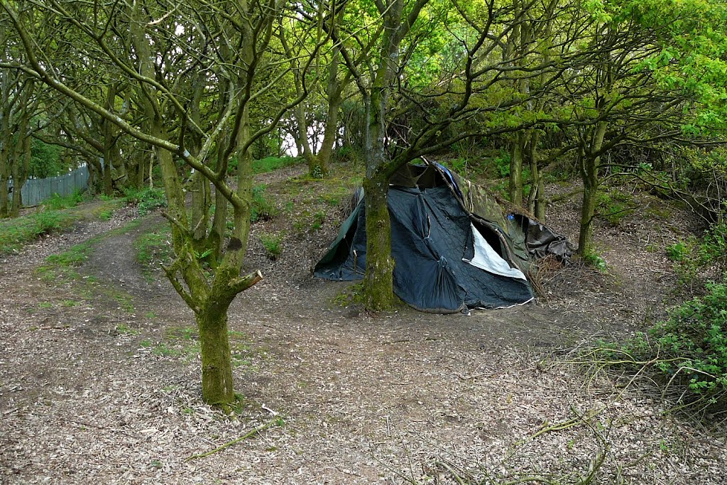 Camping out