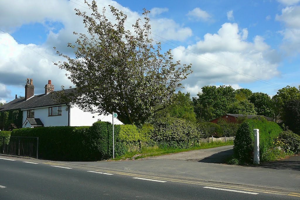 Footpath