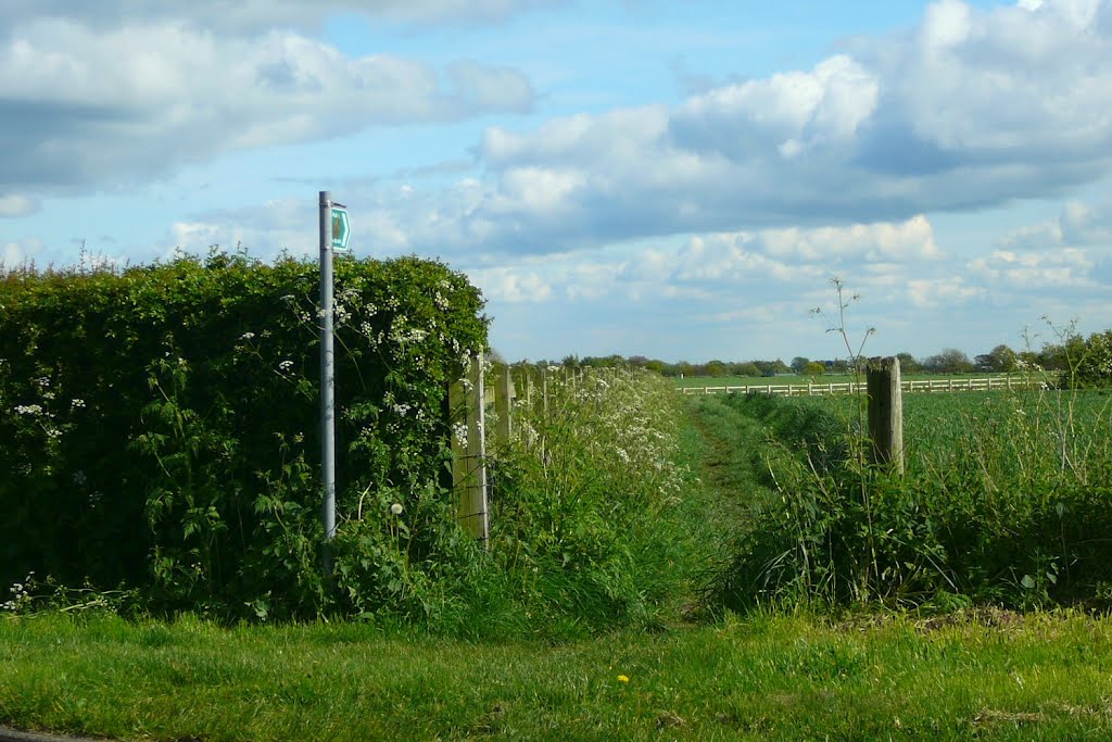 To Highfield Moss