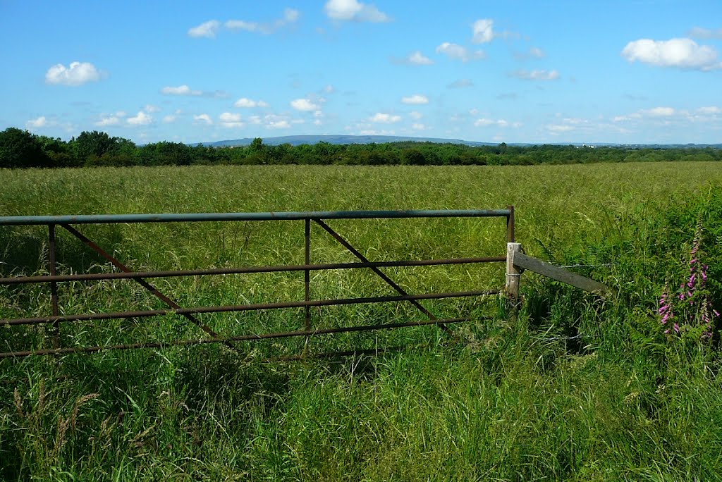 Farmland