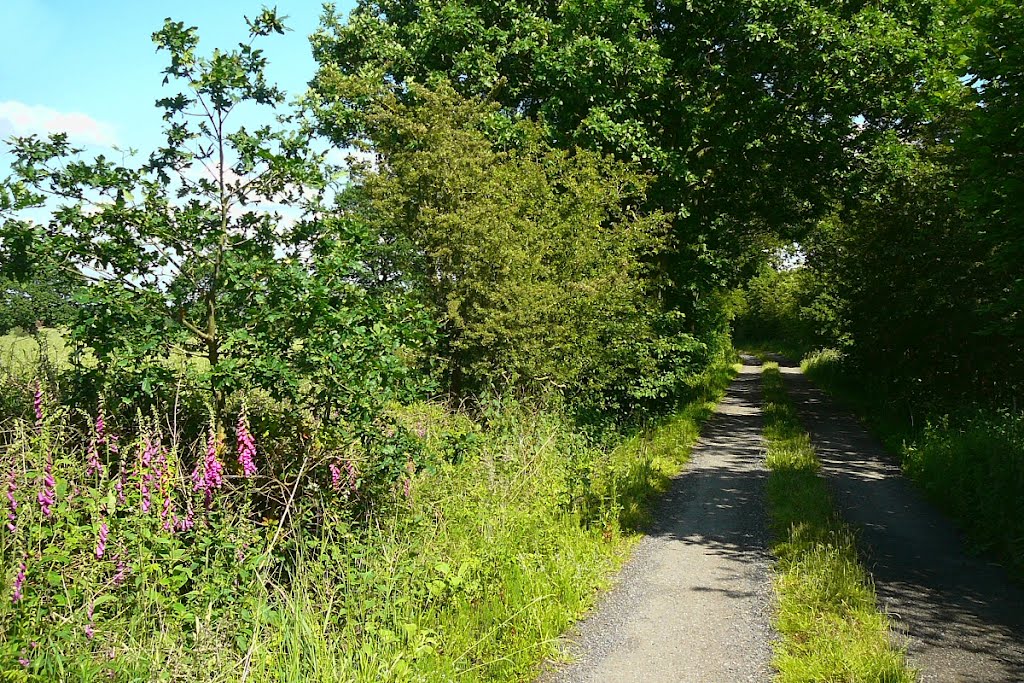 Private Road