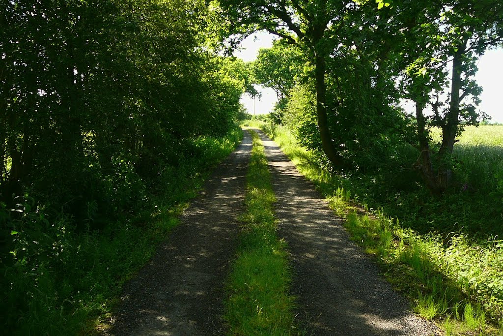 Private Road (footpath only )