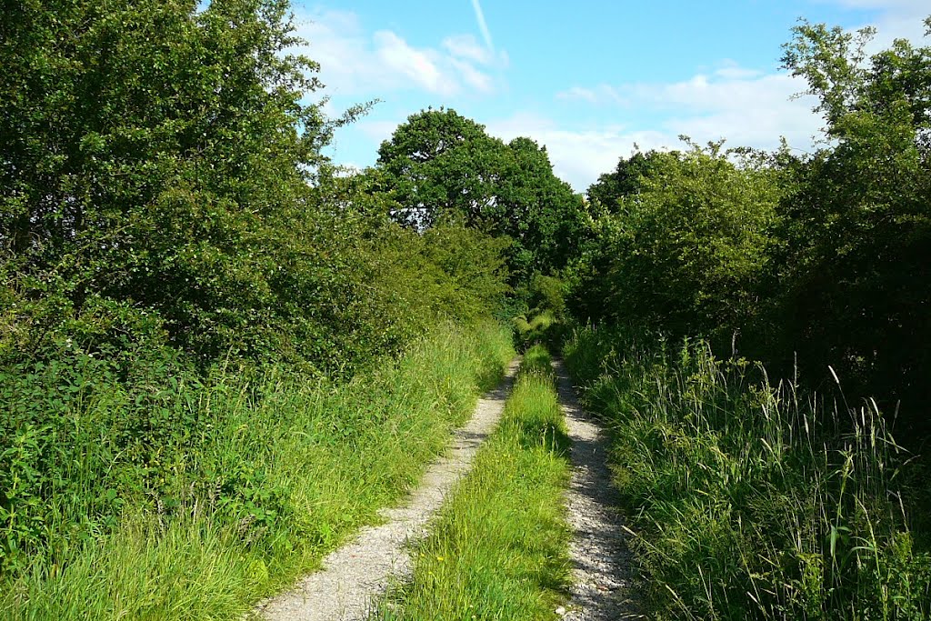 Footpath