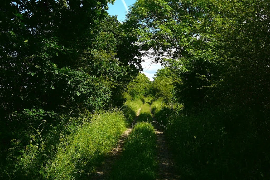 Lightshaw Lane footpath