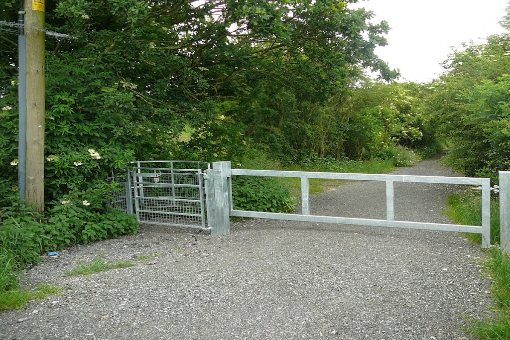 Footpath to the canal
