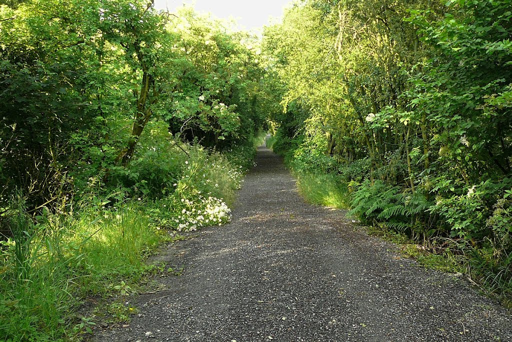 Footpath to canal