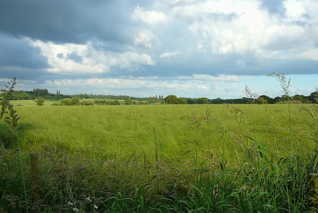 Across the fields