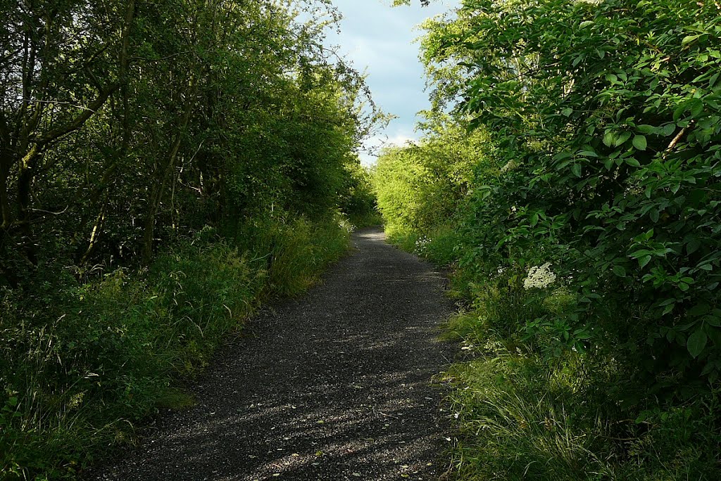 The old mineral line track