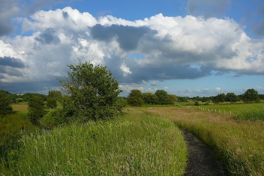 Footpath