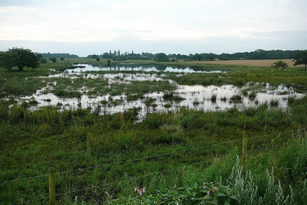 Lightshaw in flood