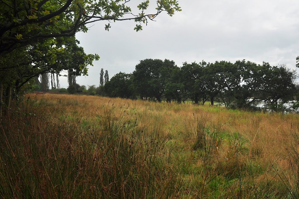 Old water treatment site