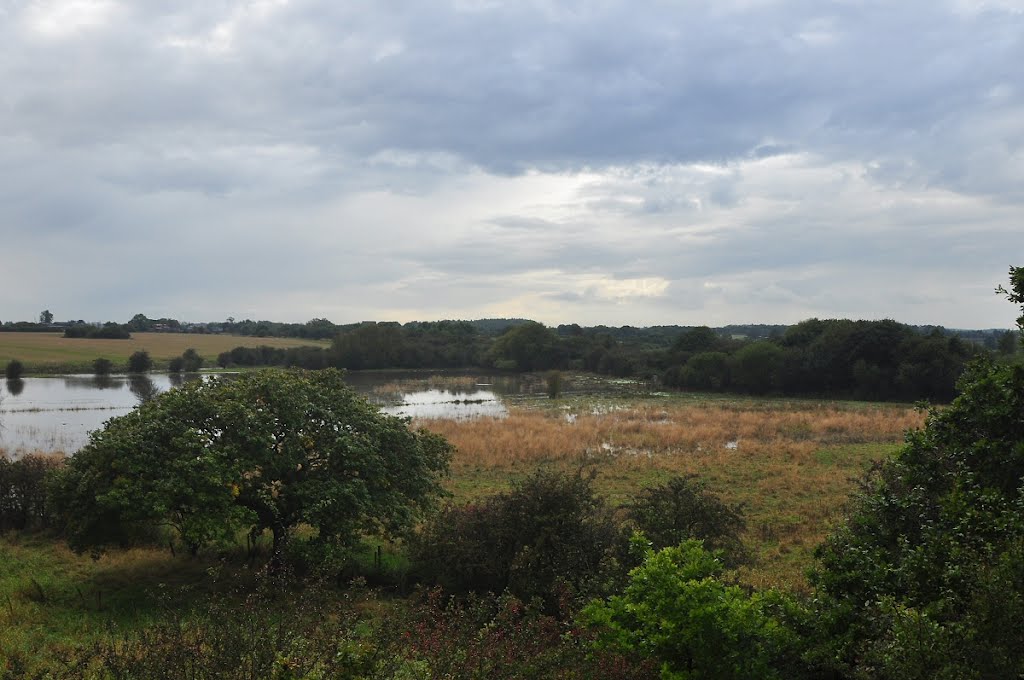 Lightshaw cattle pen