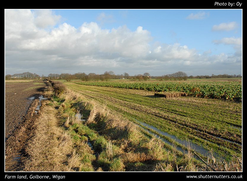 Open fields