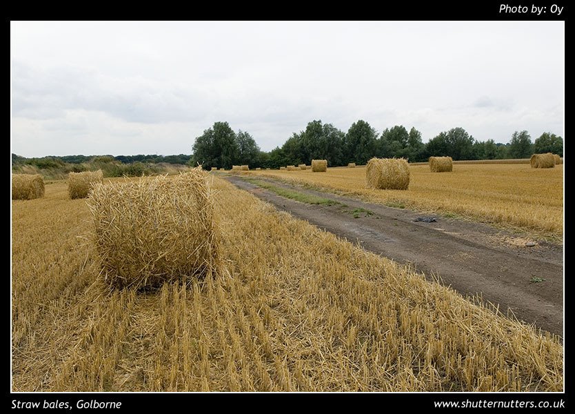 Straw Bales