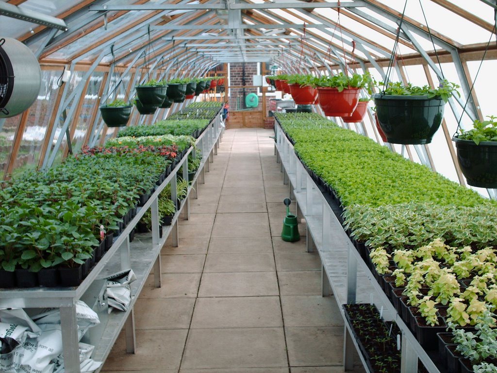 horticulture