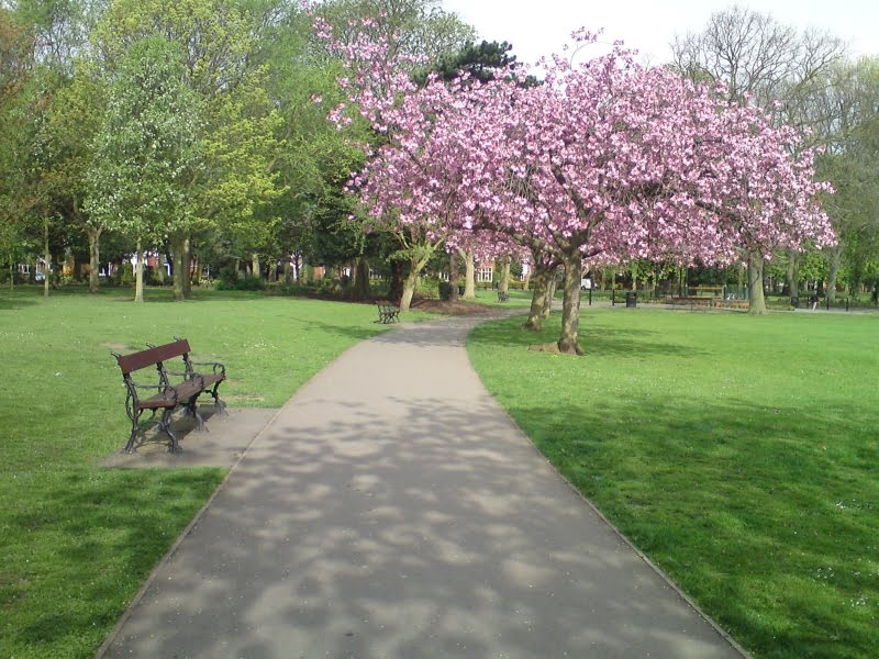 Peoples Park