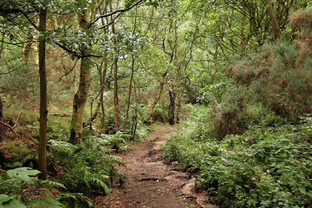 Irby Hill