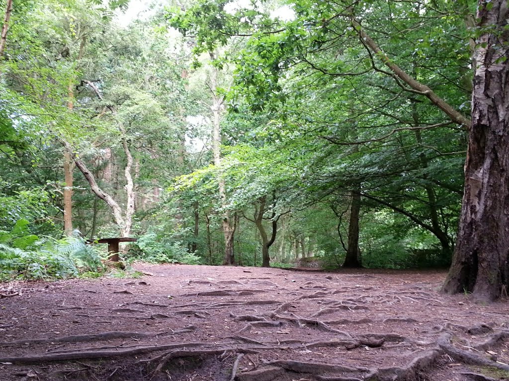 Royden