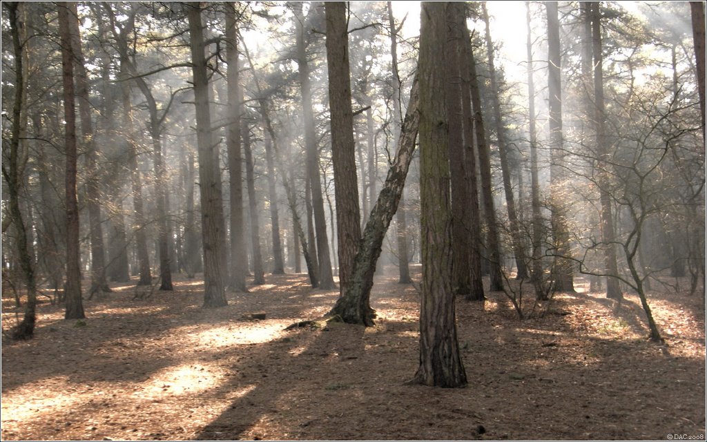 Thursaston. Morning Mist