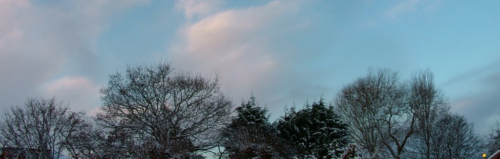 Snowfall Over Wirral