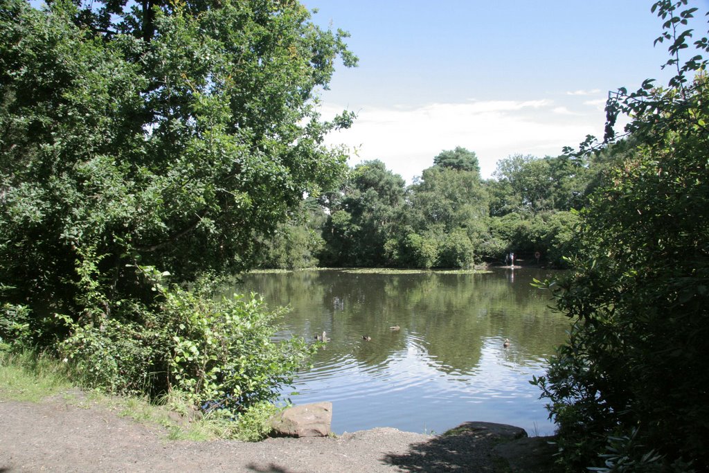Roodee Mere