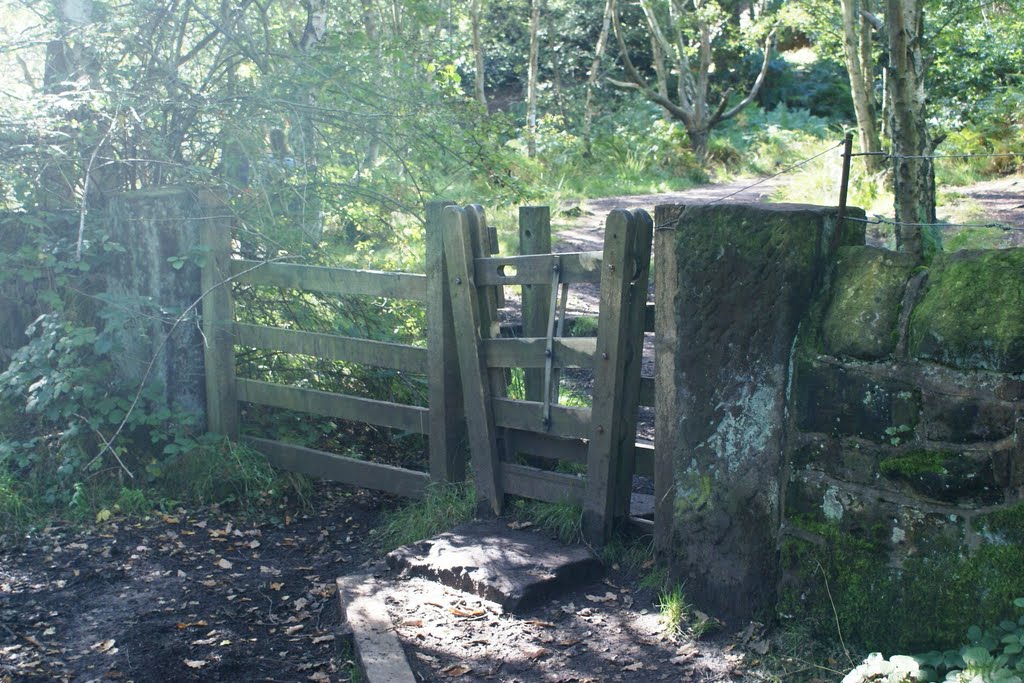 Fancy gate
