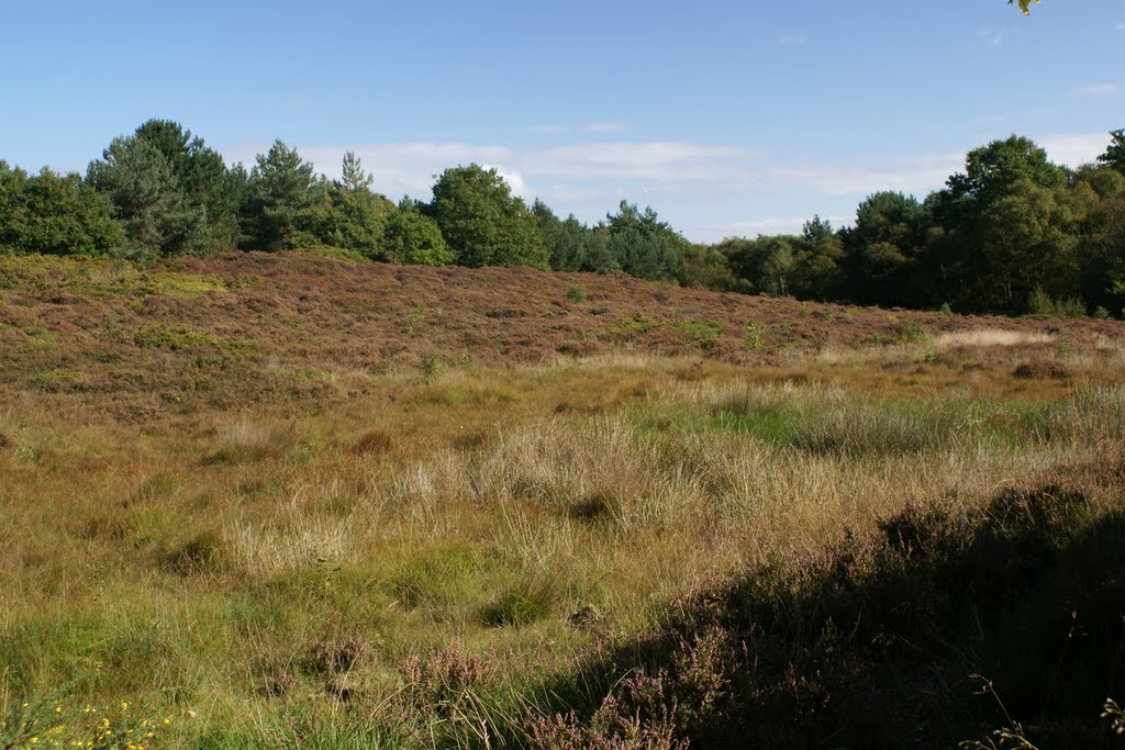 Heather Royden Park