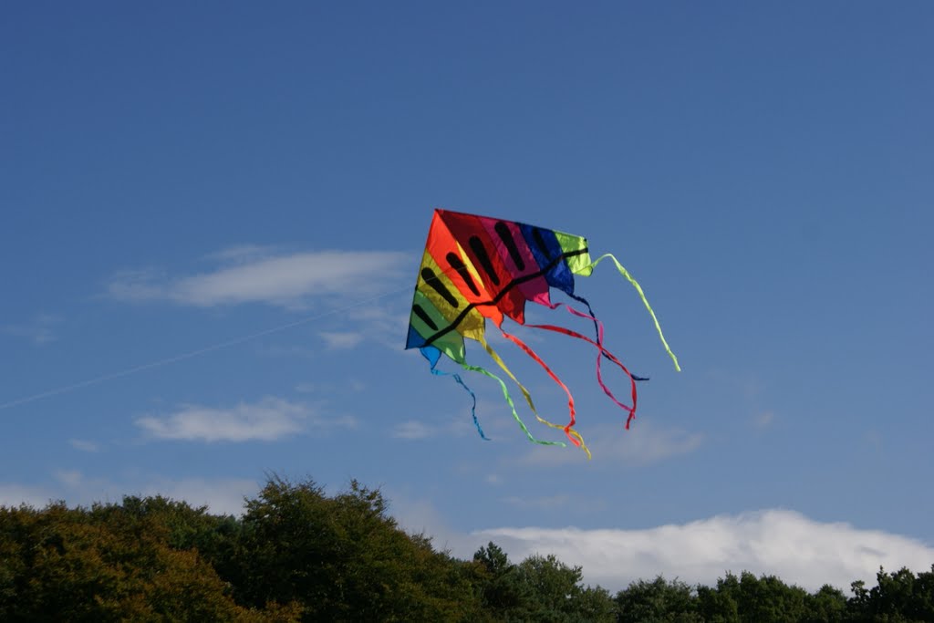Kite in Royden Park