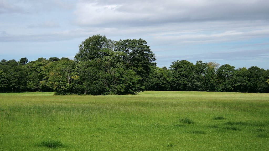 Royden Park