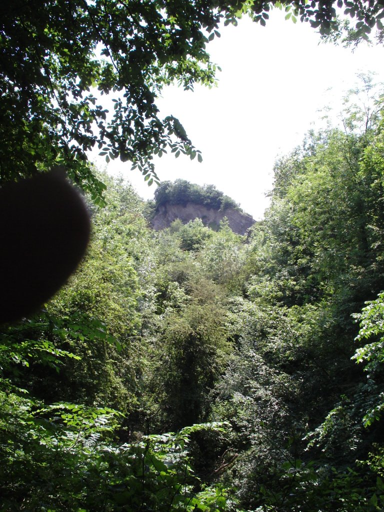 Wrens Nest Hill