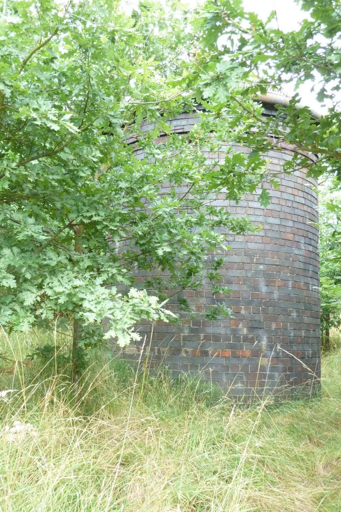 Netherton Tunnel Air Shaft 2.