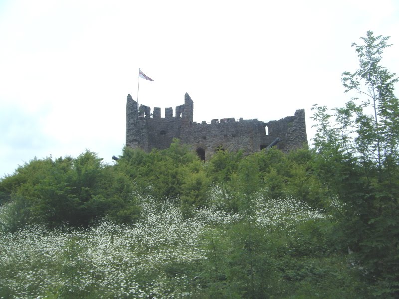 Dudley Castle