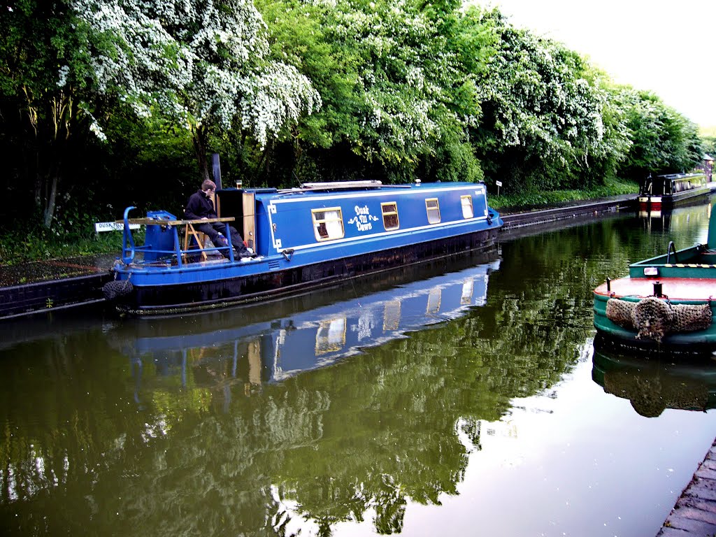 Dudley canal