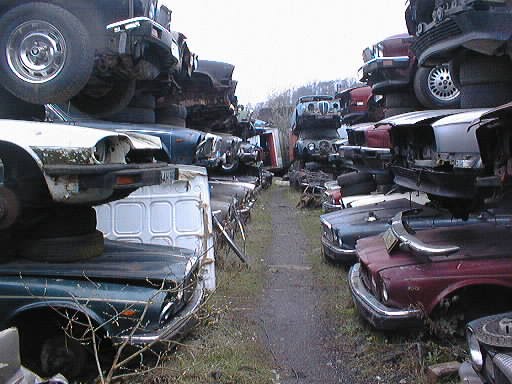 Quand meurent les jaguars, Black Country