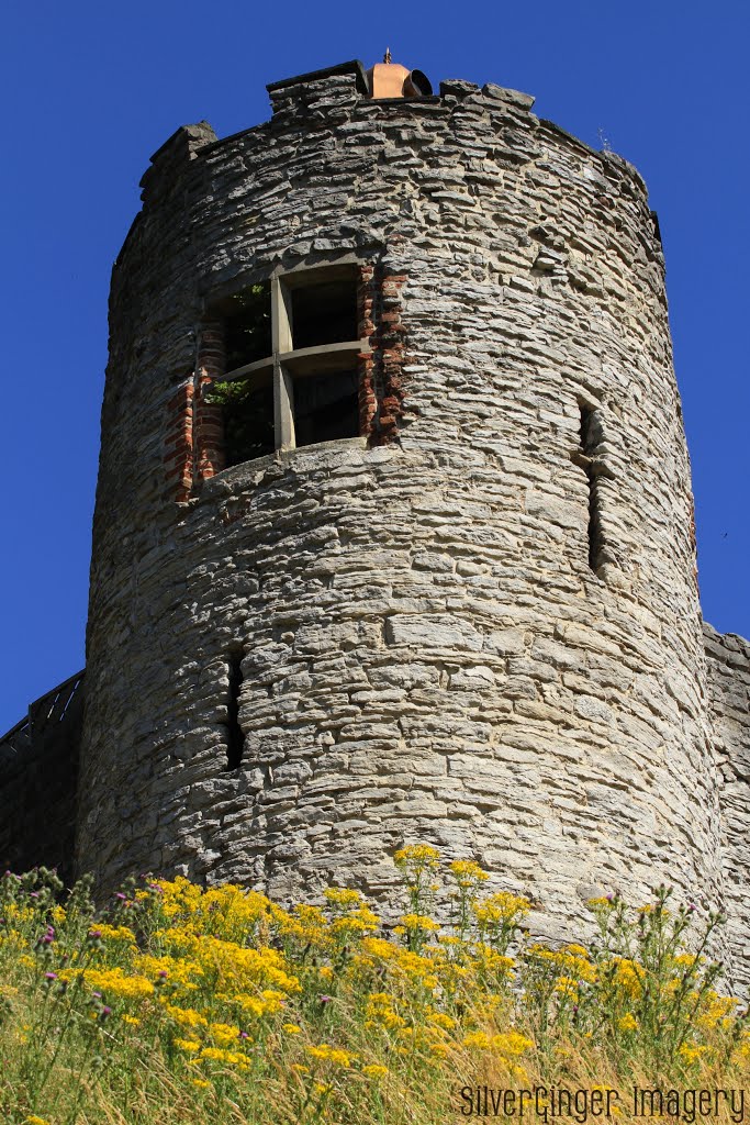 Dudley Castle II