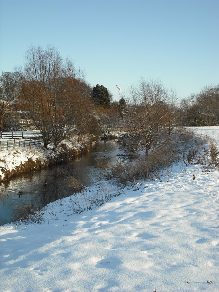 River Skerne, Rockwell, Darlington.
