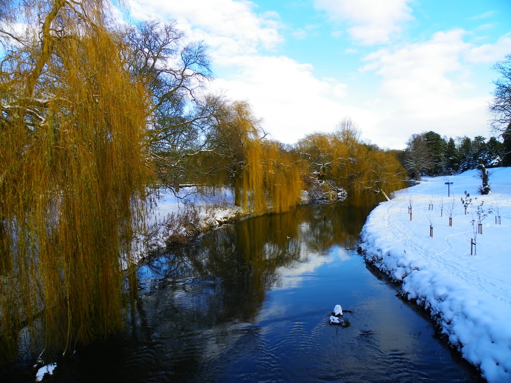 River by South Park, Darlington, UK