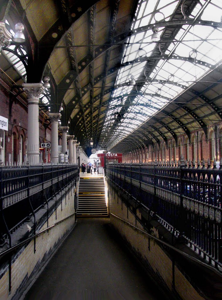 A Victorian Perspective