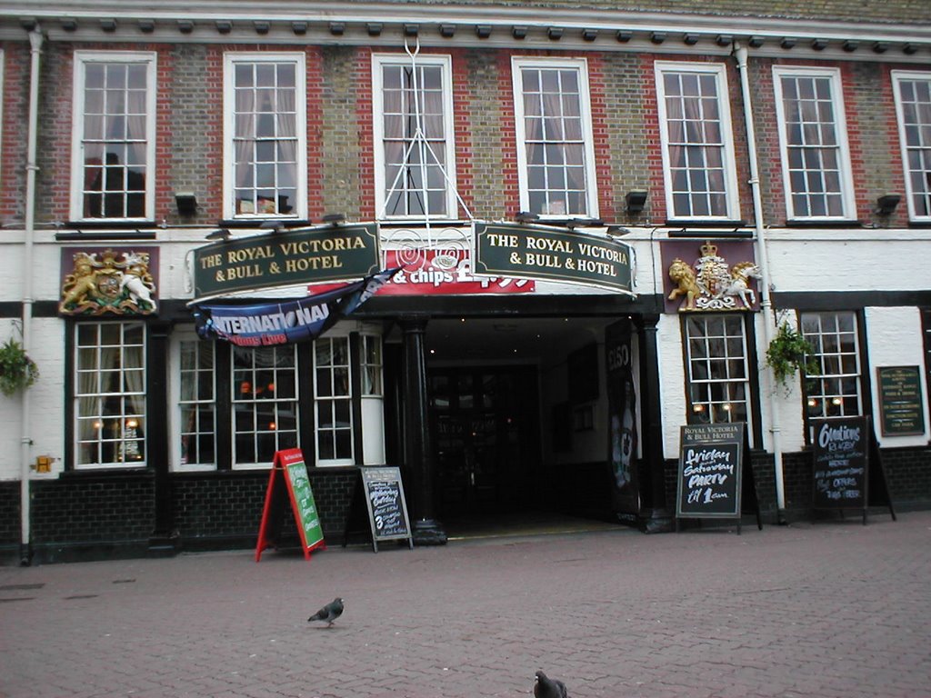 The Bull and Vic
